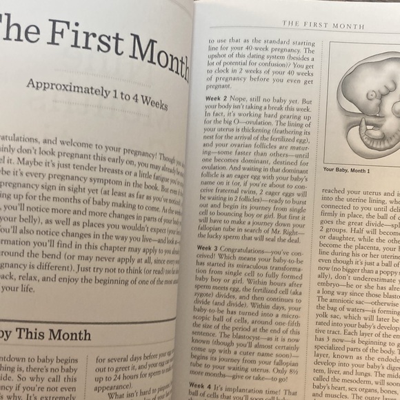 What To Expect When You’re Expecting Book - Picture 10 of 11